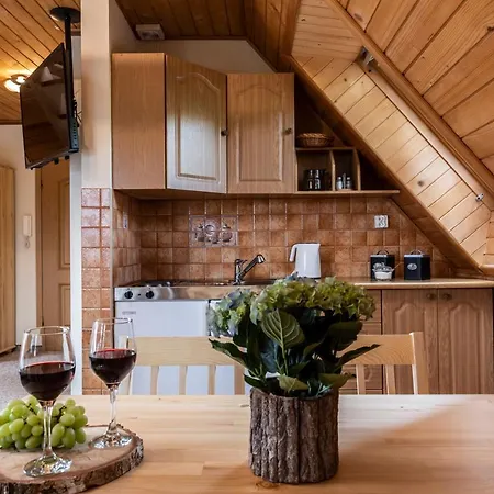 Tatrzanskie Widoki コシチェリスコ