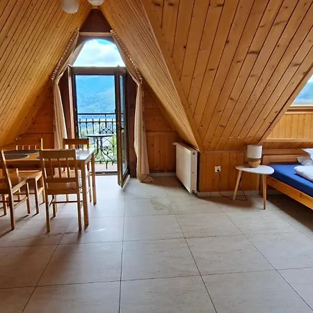Tatrzanskie Widoki Apartment Kościelisko